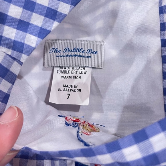 The Bubble Bee Gingham Fourth of July Two Piece Outfit - T - Picture 6 of 16